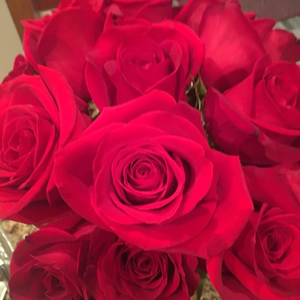 Meet your Posher, Kimberley